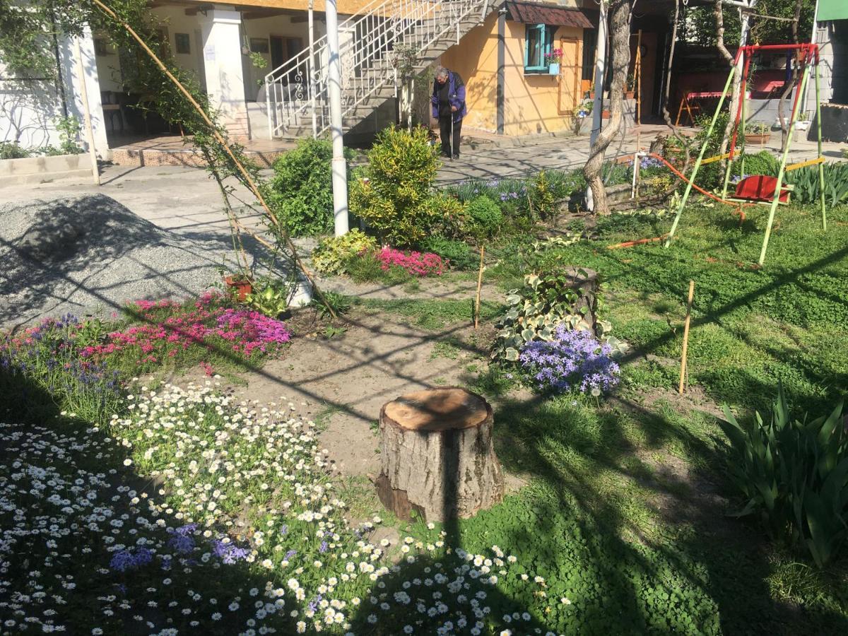 Guesthouse Aisi In Lagodekhi Kültér fotó