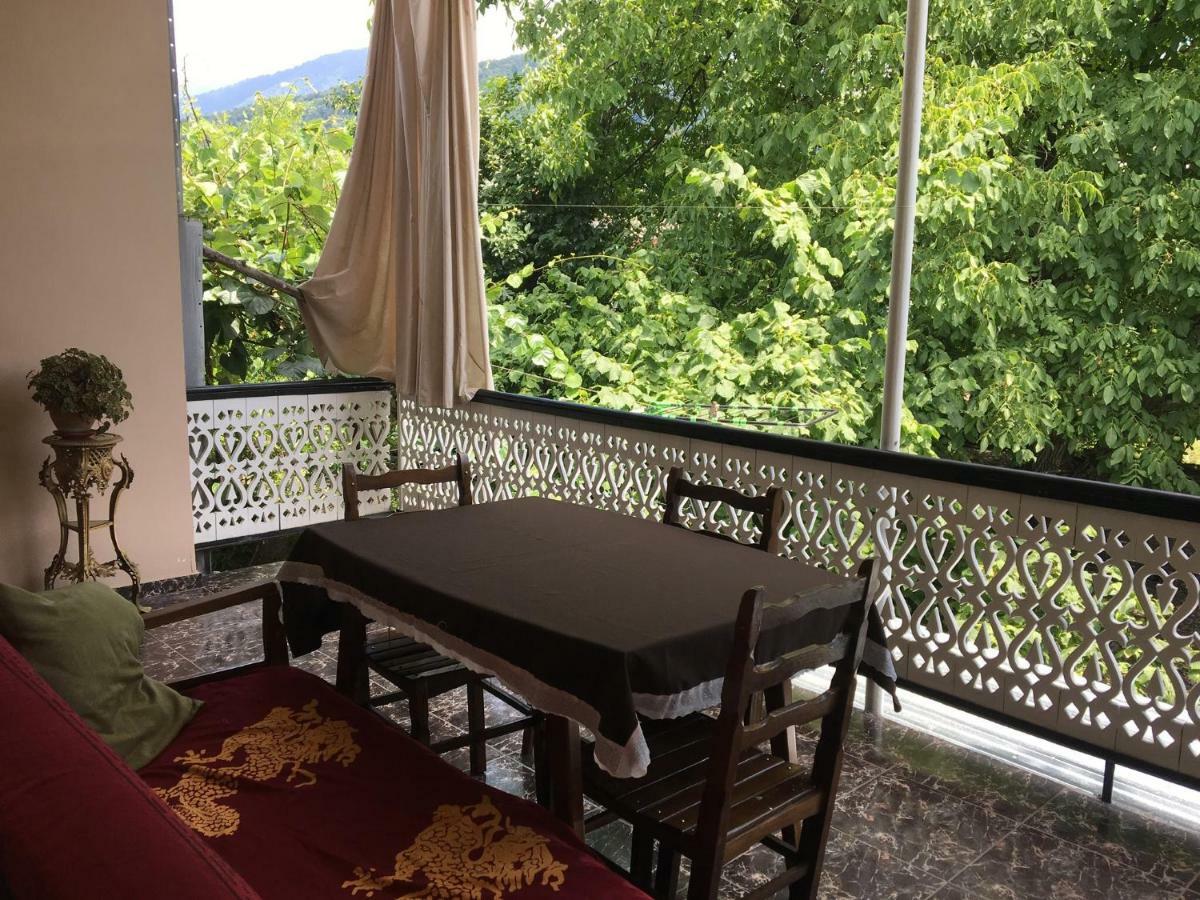 Guesthouse Aisi In Lagodekhi Kültér fotó